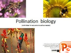 Pollination-biology.jpg