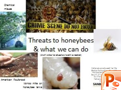 Threats-honeybees.jpg